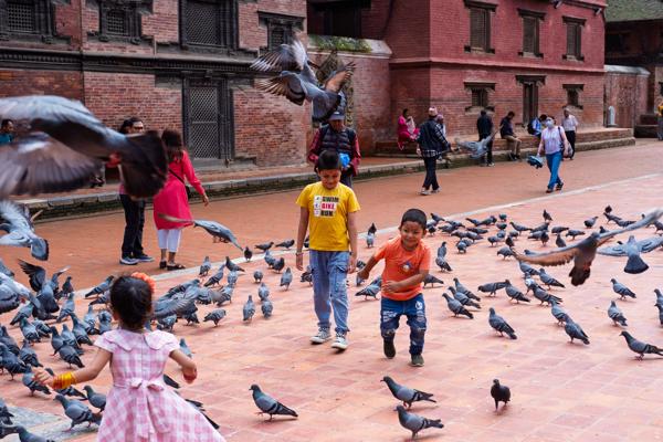 Pigeons, Children and Historic Brick Courtyard in Kathmandu Lalitpur, Nepal