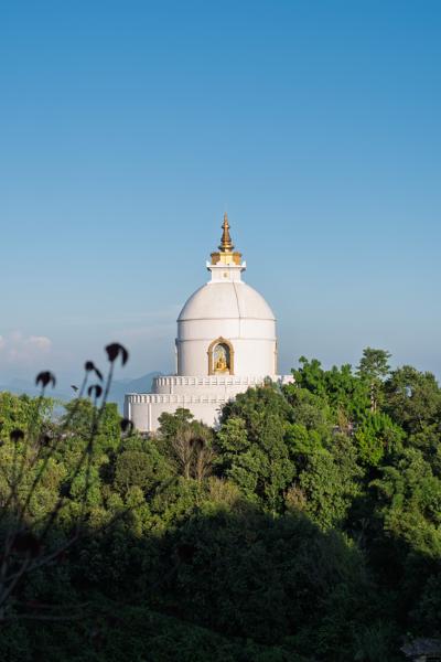 Hilltop White Stupa Amid Greenery under a Clear Sky Pokhara, Nepal