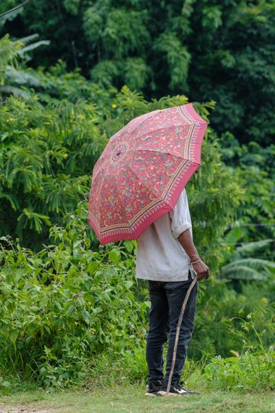 Person with a Red Patterned Umbrella in Lush Greenery Bandipur, Nepal