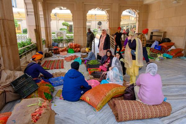 Volunteers Sorting Vegetables for Langar at Gurudwara Sis Ganj Sahib, Old Delhi Delhi, India