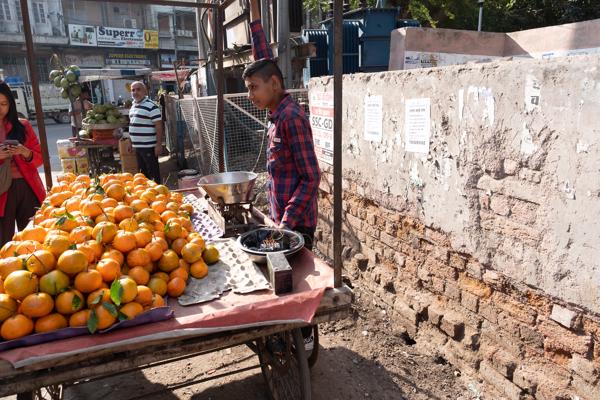 Orange Vendor at a Street Cart in Bikaner, Rajasthan Bikaner, India
