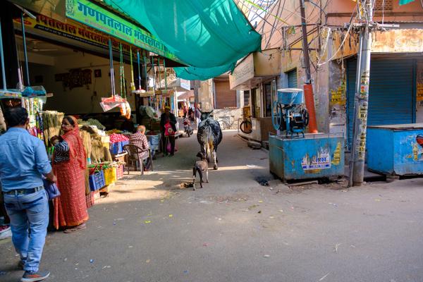 Morning street market lane in Bikaner, Rajasthan (India) Bikaner, India