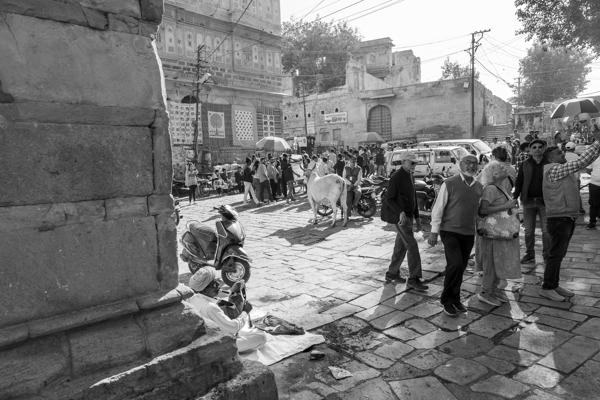 Morning Street Scene near Jaisalmer Fort, Rajasthan Jaisalmer, India