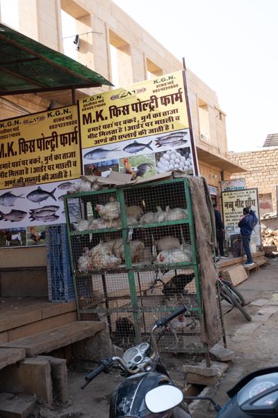 Poultry and Fish Shopfront in Jaisalmer, Rajasthan Jaisalmer, India