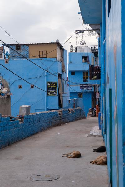 Blue alley in Jodhpur’s Blue City, Rajasthan Jodhpur, India