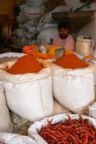 Spice Vendor in Jaipur Market with Sacks of Red Chili Powder Jaipur, India