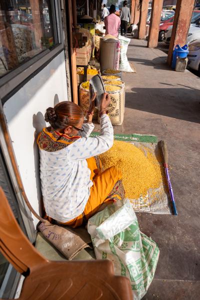Sorting Lentils on a Sidewalk Market in Jaipur Jaipur, India