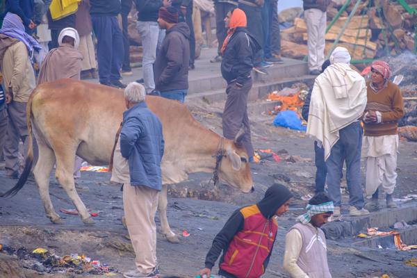 Varanasi, India