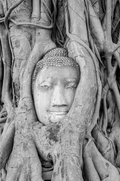 Phra Nakhon Si Ayutthaya City, Thailand