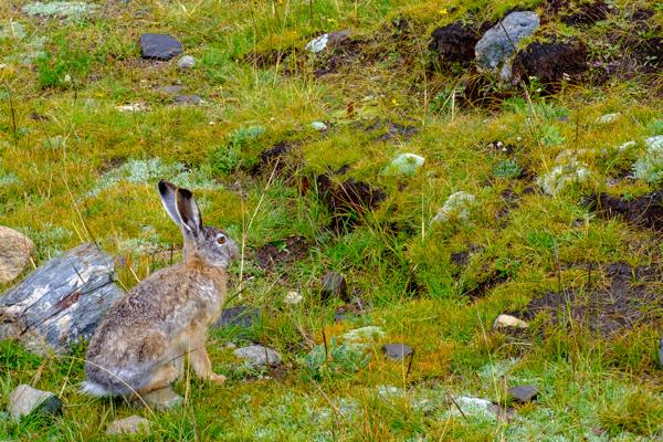 Nagarzê town, China