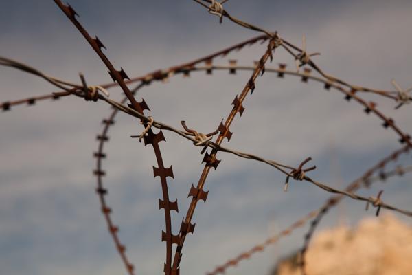 Close-up of Rusty Barbed Wire in Athens Athens, Greece
