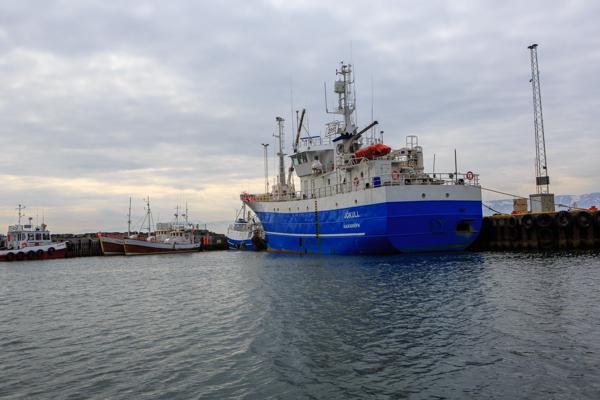 Harbor Scene with Large Blue Vessel Jökull Húsavík, Iceland