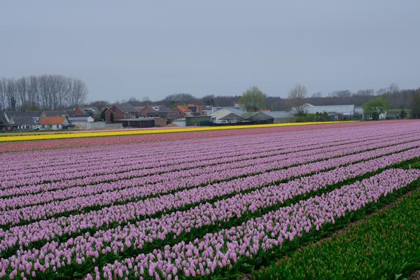 Noordwijk, Netherlands