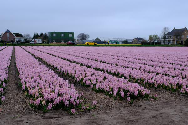 Noordwijk, Netherlands