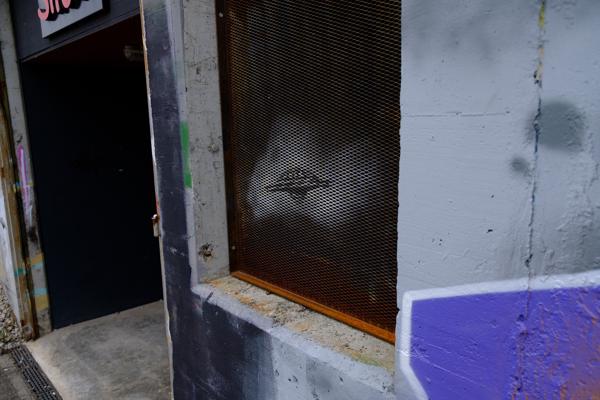 Urban Grit: Rusted Mesh Gate and Graffitied Wall Bezirk Lebern, Switzerland