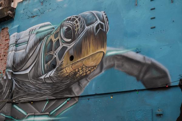 Mechanical Sea Turtle Mural in Basel Bezirk Lebern, Switzerland