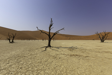 Dead Vlei: Nature's Dry Canvas - Namibia