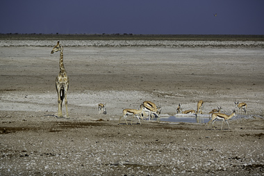 Namibia