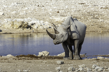 Namibia