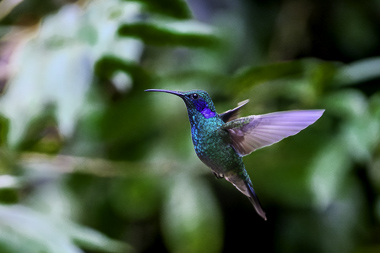 Puntarenas - Costa Rica