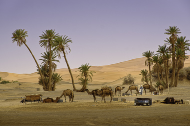 Et-taous - Morocco