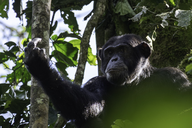 Uganda