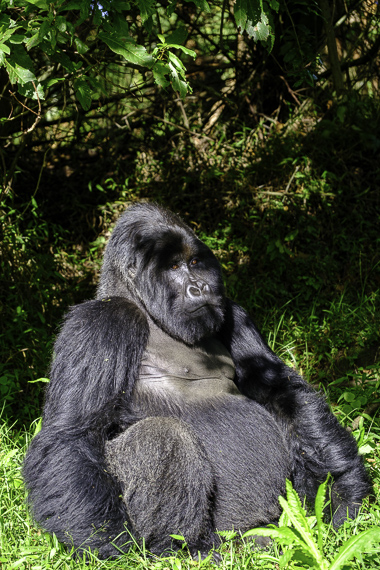 Buzeyi - Uganda