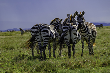 United Republic of Tanzania