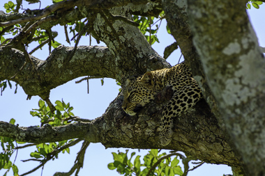 United Republic of Tanzania