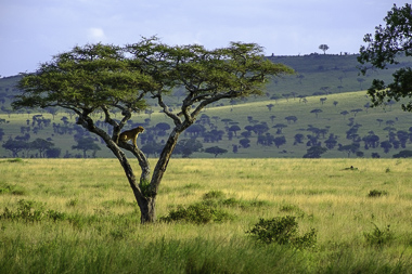 United Republic of Tanzania