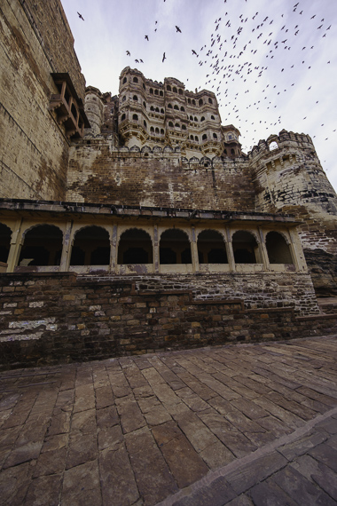 Jodhpur - India