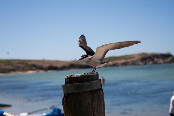 City of Rockingham, Australia