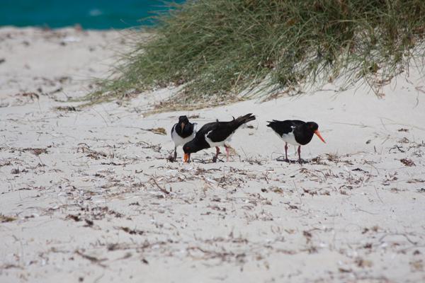 City of Cockburn, Australia