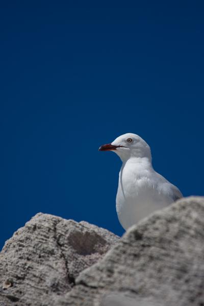 City of Cockburn, Australia