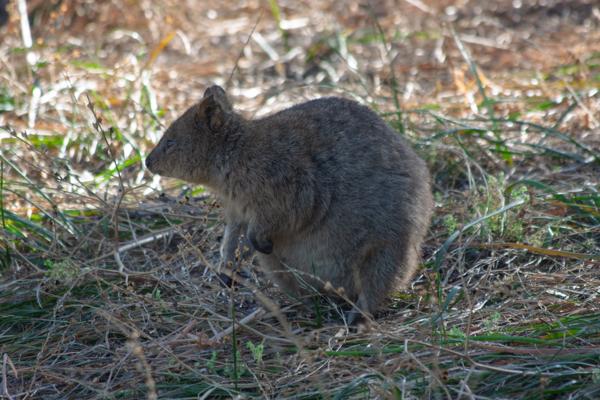City of Cockburn, Australia
