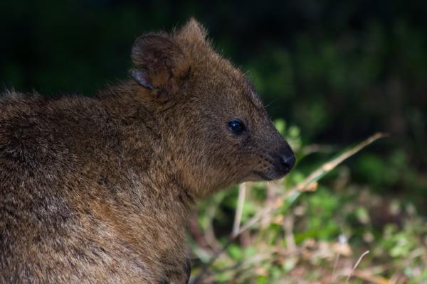 City of Cockburn, Australia