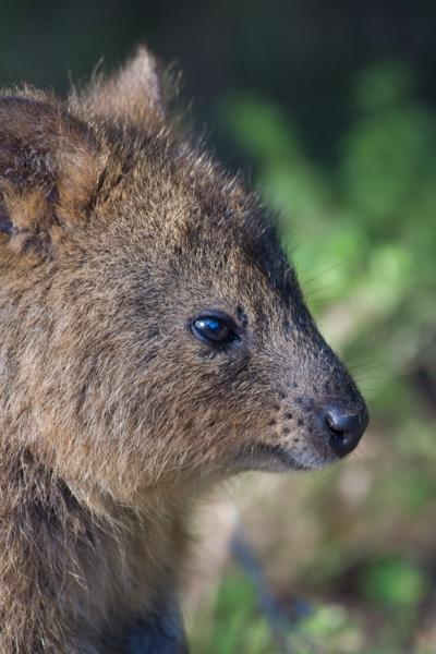 City of Cockburn, Australia