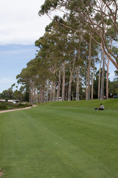 Kings Park, Australia