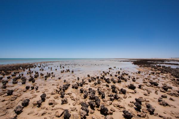 Shire Of Shark Bay, Australia