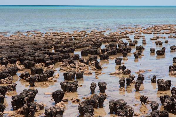 Shire Of Shark Bay, Australia