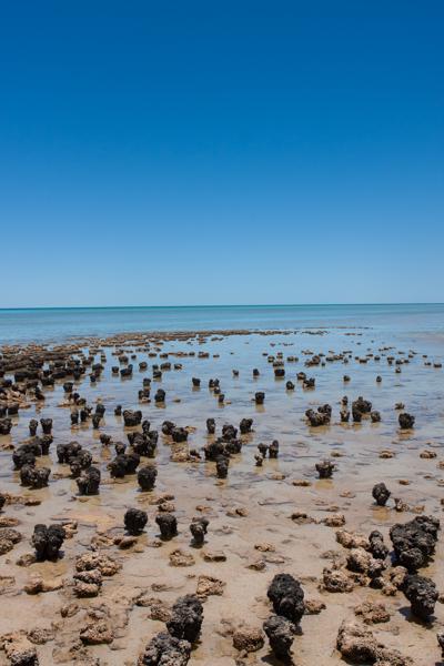 Shire Of Shark Bay, Australia