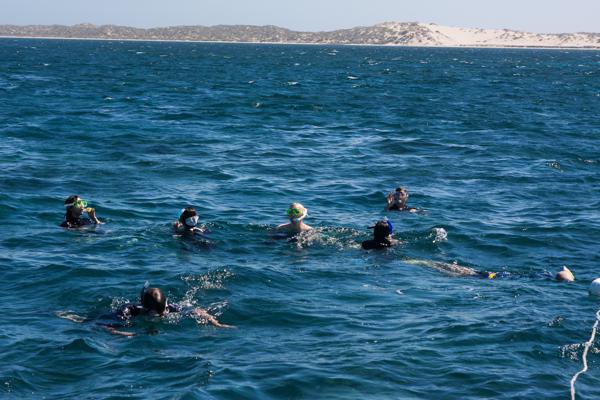 Shire Of Carnarvon, Australia