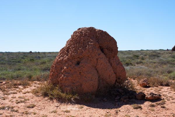 Shire Of Carnarvon, Australia