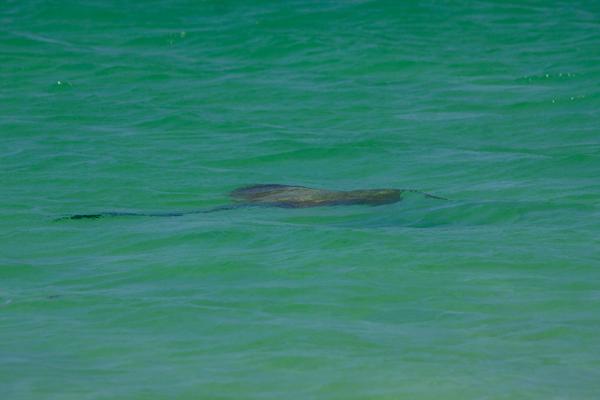 Shire Of Exmouth, Australia