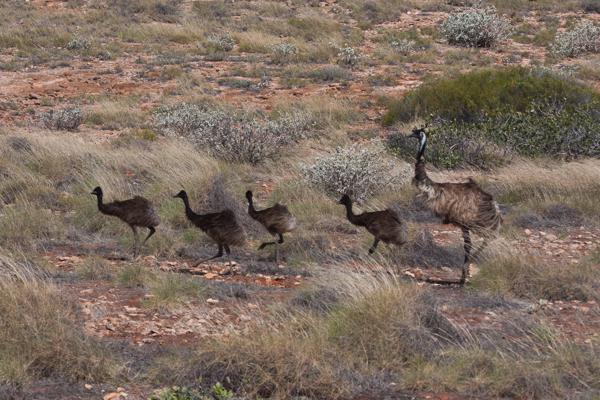 Shire Of Exmouth, Australia