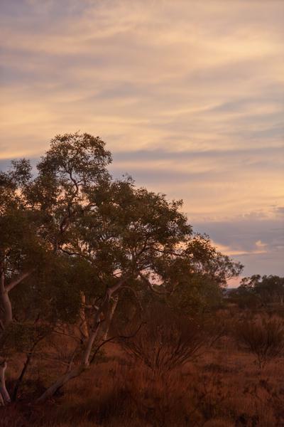 Shire Of Ashburton, Australia