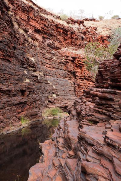 Tom Price, Australien