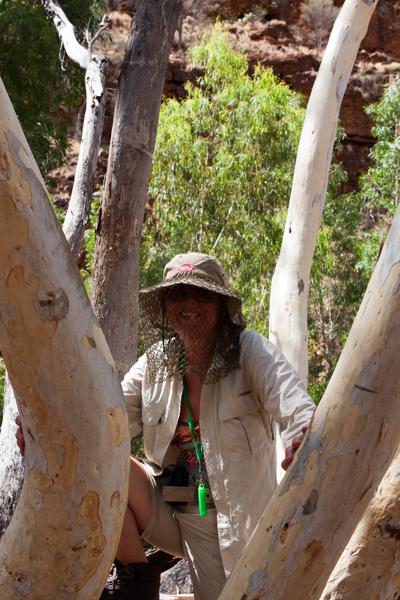 Shire Of Ashburton, Australia