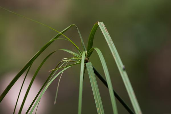 Shire Of Ashburton, Australia