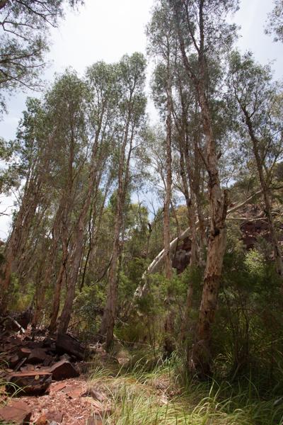 Shire Of Ashburton, Australia